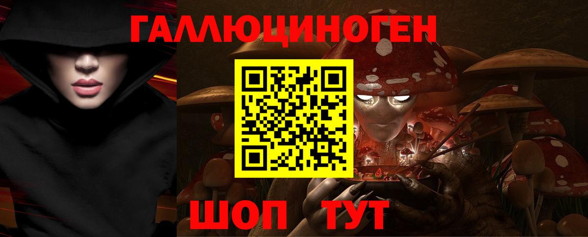 Псилоцибиновые грибы MAGIC MUSHROOMS  Вход с VPN  Галлюциногенные грибы Magic Shrooms  Курчатов 